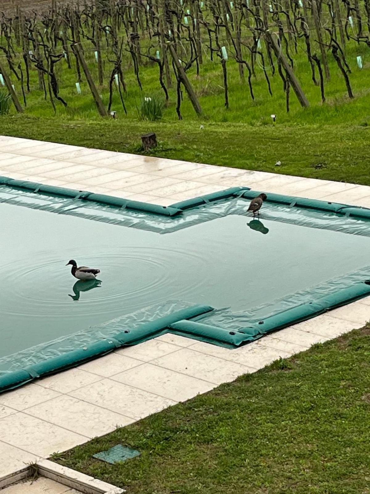 Agriturismo Al Dugale Lazise Bagian luar foto
